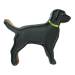 Formina per Biscotti - Cane. n3