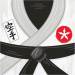 Contiene : 1 x 16 Tovaglioli Karate Party. n6
