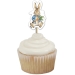 12 Stecchini di Peter Rabbit. n4