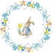 75 Pirottini - Peter Rabbit. n3