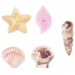 Wilton Stampo Candy Conchiglie. n2
