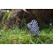 Set Zebra 3D da assemblare - Eugy images:#3