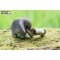 Set Elefante 3D da assemblare - Eugy images:#2
