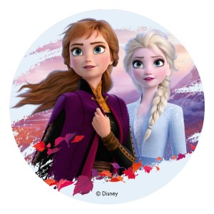Disco Elsa e Anna - Frozen 2 (20 cm) - Azimo