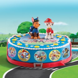 6 Dischi Mini PAW Patrol - Azzimo. n1