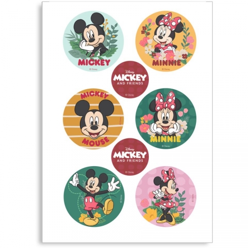 6 Mini Dischi Mickey et Minnie - Azzimo - senza E171 