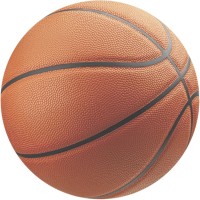 Disco Basket  20 cm - Azyme