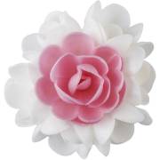 1 Mazzo di Rose Bianche e Rosa (10 cm) - Azzimo