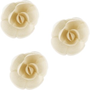 3 Piccole Rose Bio Crema (4 cm) - Azimo