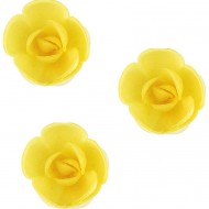 3 Piccole Rose Bio Giallo (4 cm) - Azimo