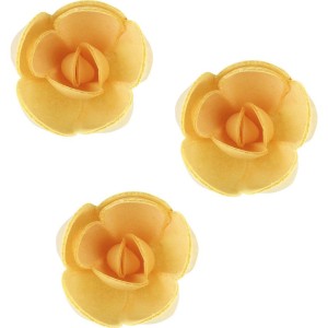 3 Piccole Rose Bio Arancione (4 cm) - Azimo