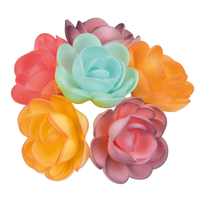 4 rose piccole (4 cm) Azyme - Sfumate 