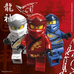 20 Asciugamani Ninjago - Compostabile