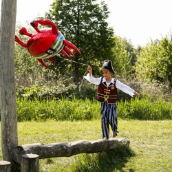 Palloncino gigante in foil - Granchio - 93 cm. n1