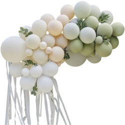 Kit 70 arco di palloncini - Talpa,  Pesca e Salvia con eucalipto,  fogliame e festoni. n1