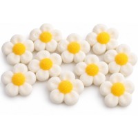 10 fiori di marshmallow - bianchi