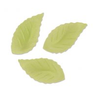 10 Piccole foglie verdi in pasta azzima