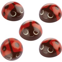 5 Coccinella ( 2,7 cm) - Cioccolato bianco