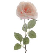 Rosa Ghiacciata su Stelo (44 cm)