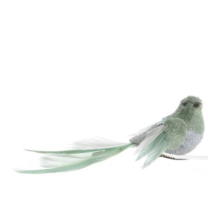 Clip Uccello Verde Eucalipto (14 cm)