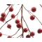 Ghirlanda di Natale - Bacche rosse images:#1