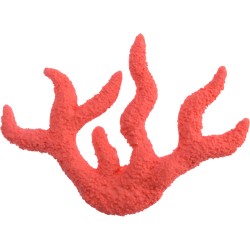 Corallo rosso decorativo. n1