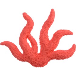 Corallo rosso decorativo. n2