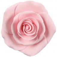 Rose maxi (8 cm) - Non commestibili