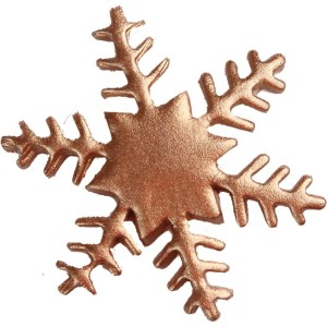 2 Grandi scaglie di bronzo (5,5 cm) - Zucchero