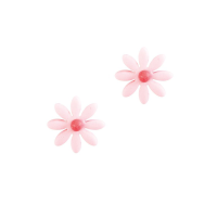 2 Margherite rosa piccole ( 2 cm) - Zucchero