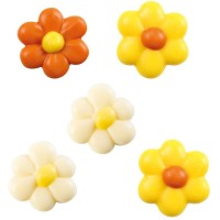 5 mini fiori (� 2 cm) � Cioccolato bianco