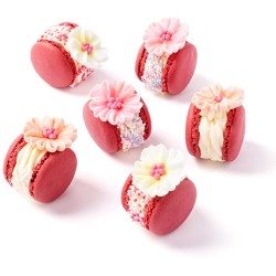50 g di Nonpareils Fucsia,  Rosa e Bianco. n�2