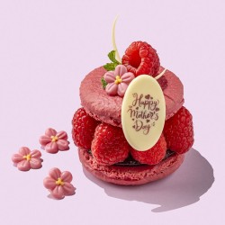 5 mini fiori rosa (� 2 cm) � Cioccolato bianco. n�3
