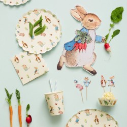 12 Piatti Coniglio - Pierre Rabbit. n1