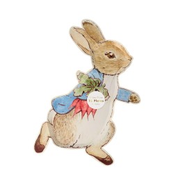12 Piatti Coniglio - Pierre Rabbit. n1