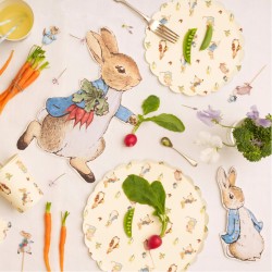 12 Piatti Coniglio - Pierre Rabbit. n4