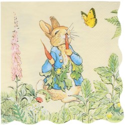 Party Box Peter Rabbit in giardino. n2