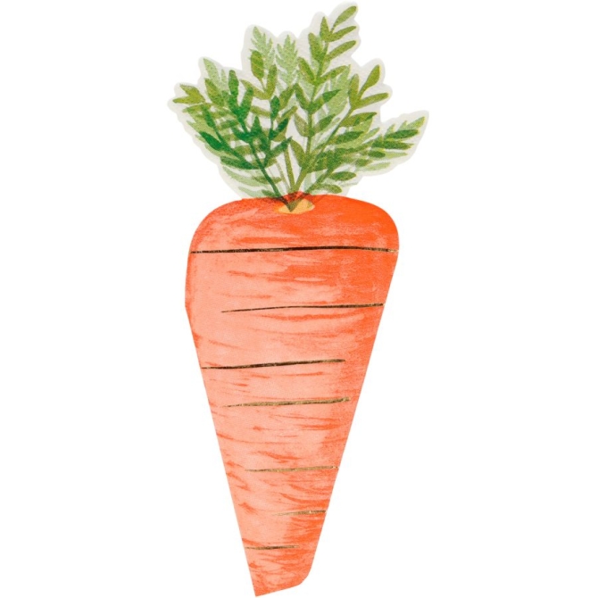 16 tovaglioli a forma di carota 