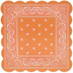 8 piatti di bandane occidentali. n1