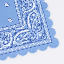 16 asciugamani bandana occidentali. n6