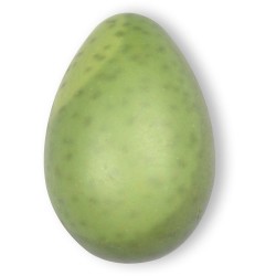 4 Avocado 2D � Cioccolato Bianco. n�5