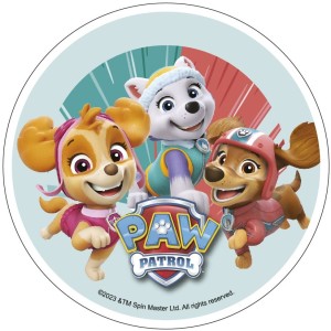 Paw Patrol Girl Disco Azyme 21 cm