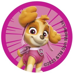 12 adesivi per biscotti Paw Patrol (5, 8 cm) - Zucchero. n6