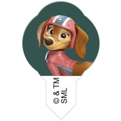 6 pastiglie Azyme degli amici di Paw Patrol. n6