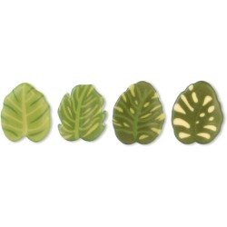 Assortimento di 4 Foglie - 3, 4 cm - Cioccolato Bianco. n1