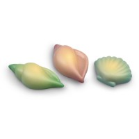 3 Conchiglie - Cioccolato bianco