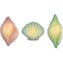 3 Conchiglie - Cioccolato bianco. n1