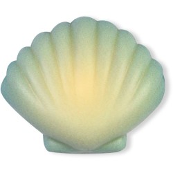 3 Conchiglie - Cioccolato bianco. n2