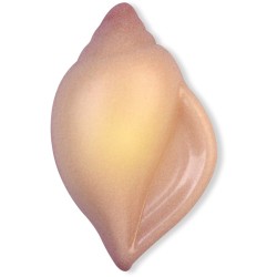 3 Conchiglie - Cioccolato bianco. n3