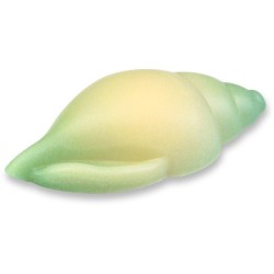 3 Conchiglie - Cioccolato bianco. n8